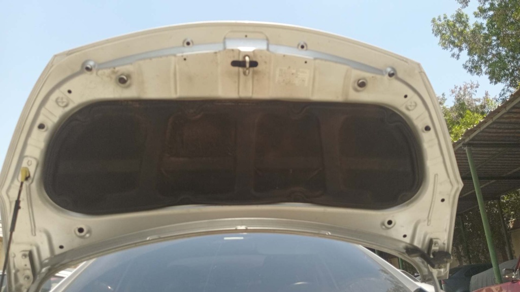 CAR HOOD