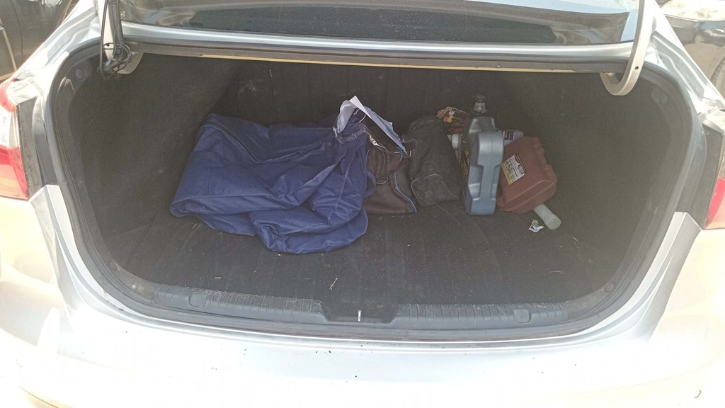 TRUNK
