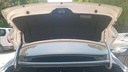 TRUNK HOOD