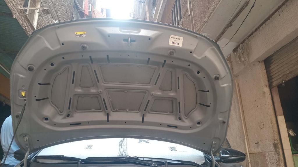 CAR HOOD