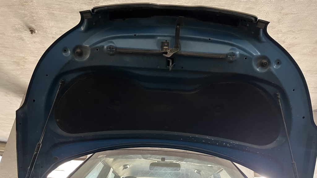 CAR HOOD