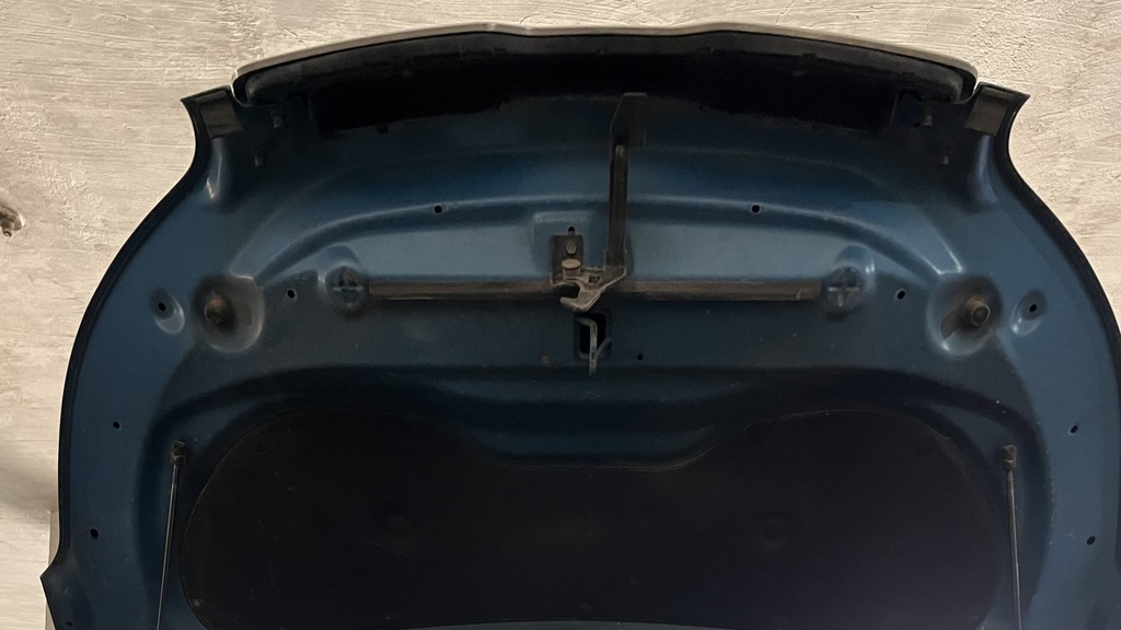TRUNK HOOD
