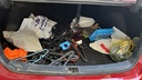 TRUNK