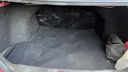 TRUNK