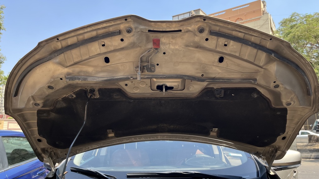 CAR HOOD
