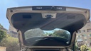 TRUNK HOOD