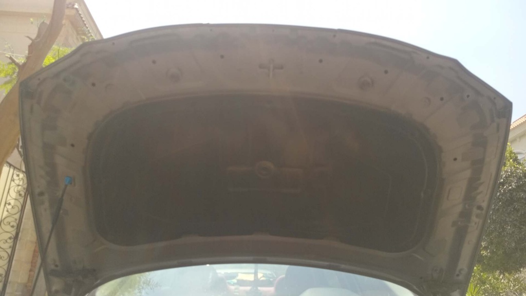 CAR HOOD
