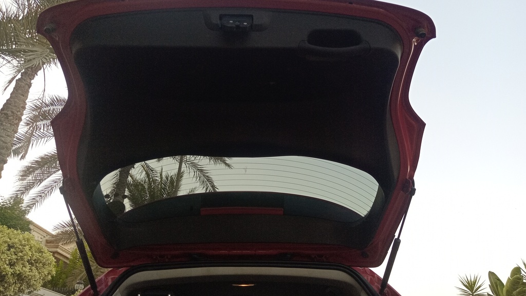 TRUNK HOOD