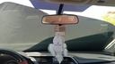 REARVIEW MIRROR