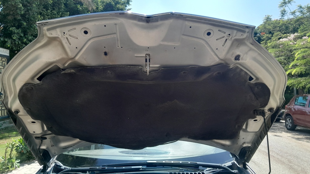 CAR HOOD