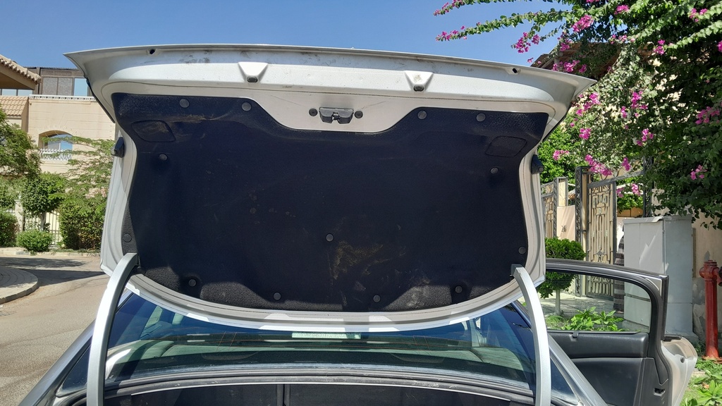 TRUNK HOOD