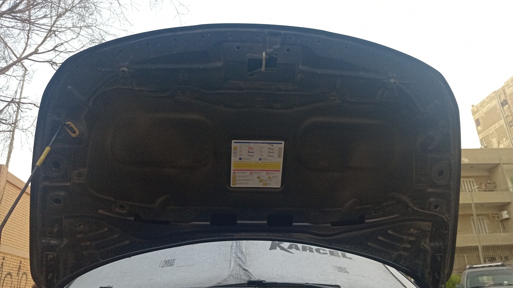 CAR HOOD