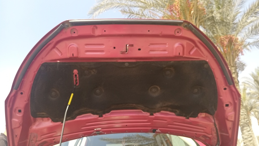 CAR HOOD