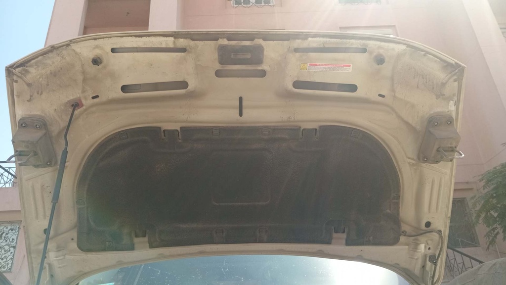 CAR HOOD