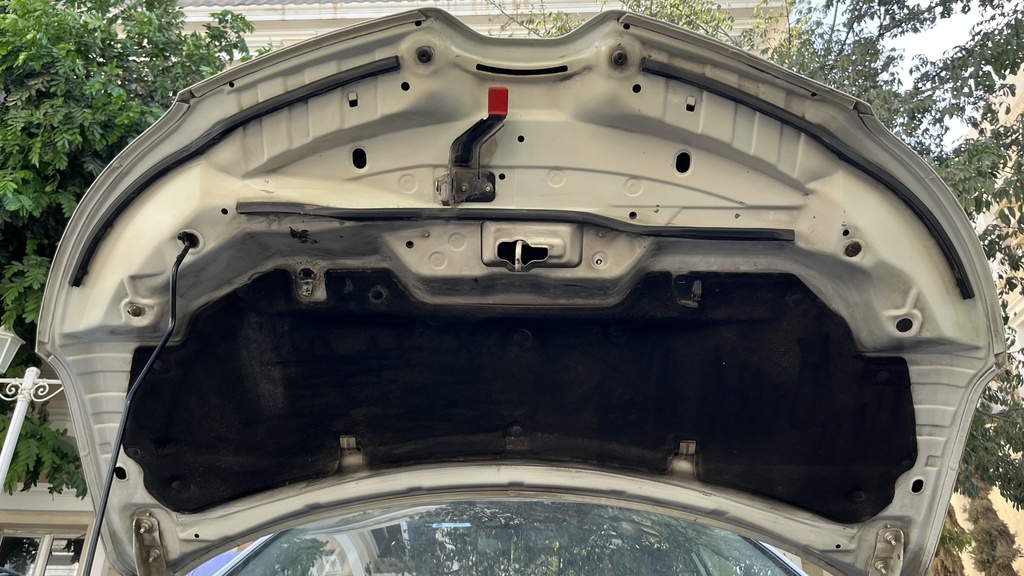CAR HOOD