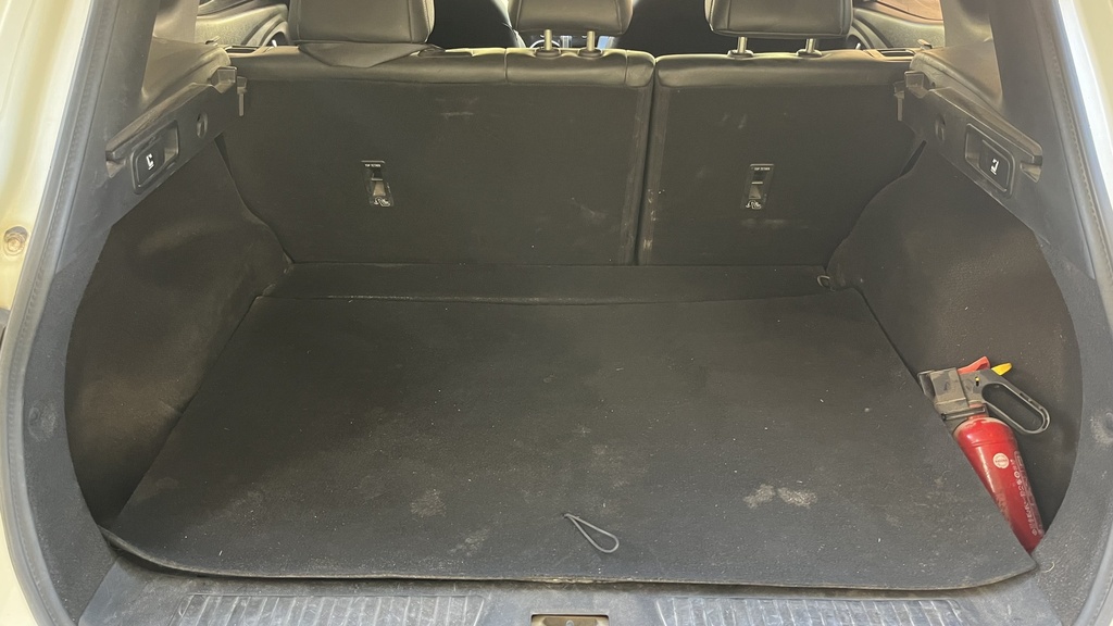 TRUNK