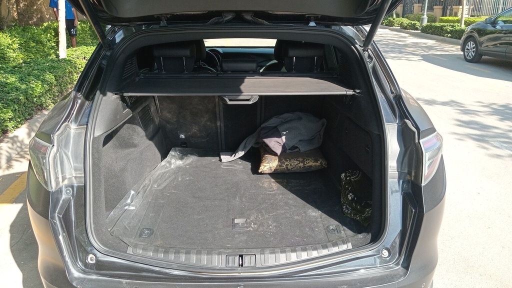 TRUNK