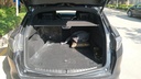 TRUNK