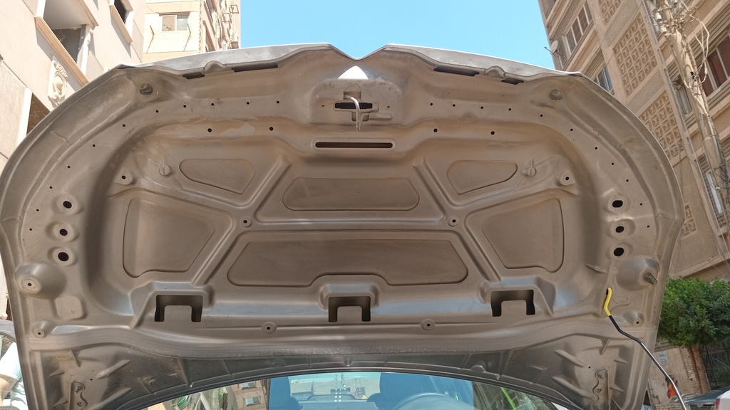 CAR HOOD