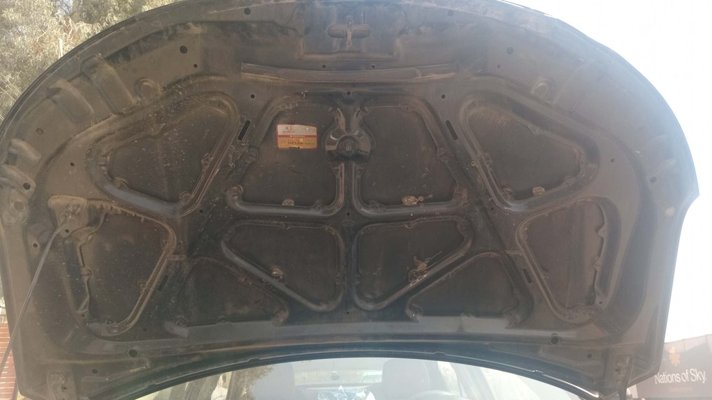 CAR HOOD