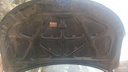 CAR HOOD