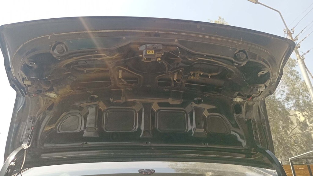 TRUNK HOOD
