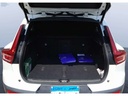 TRUNK