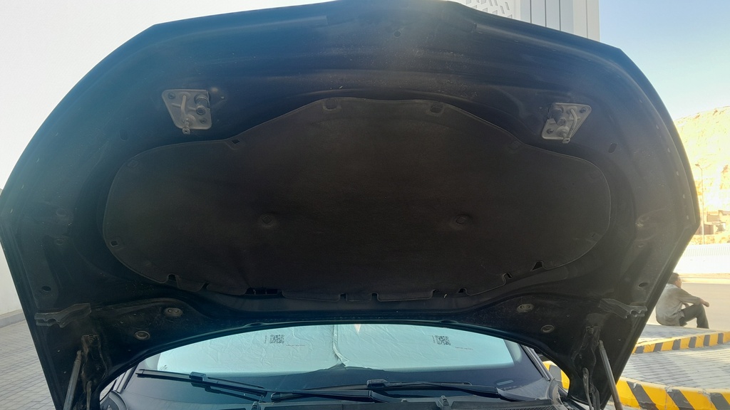 CAR HOOD
