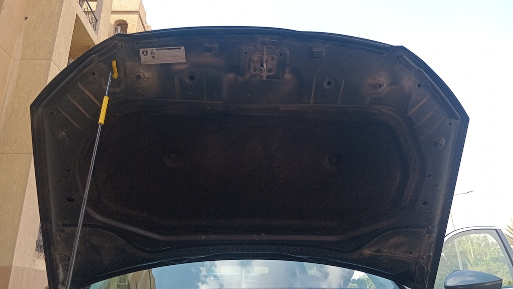CAR HOOD