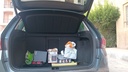 TRUNK