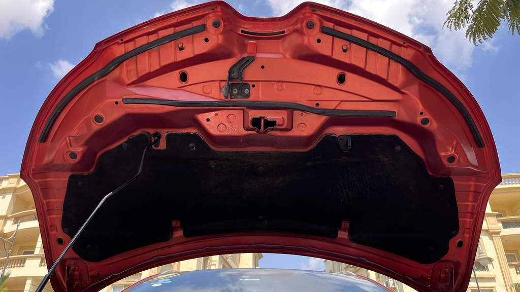 CAR HOOD