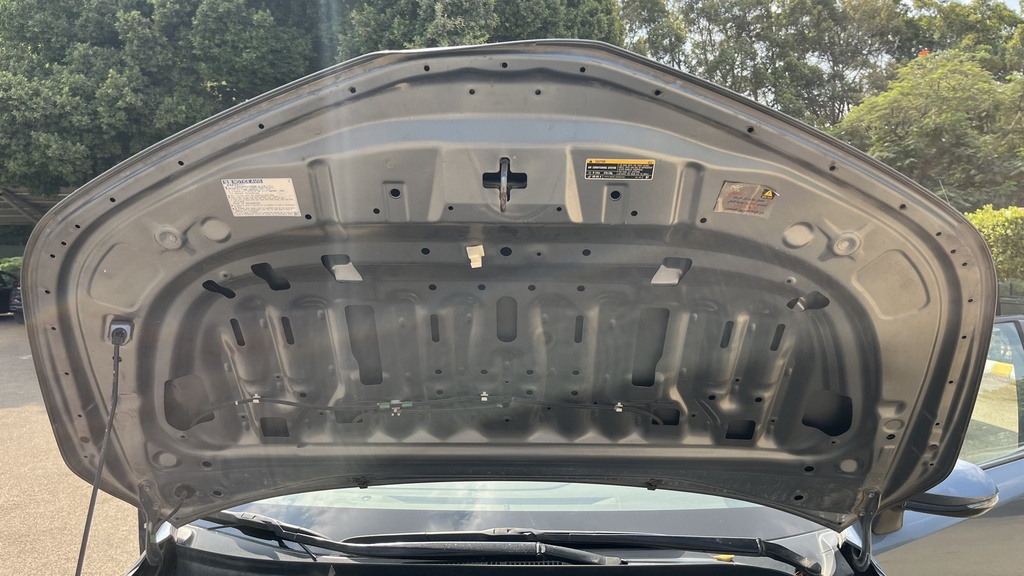 CAR HOOD
