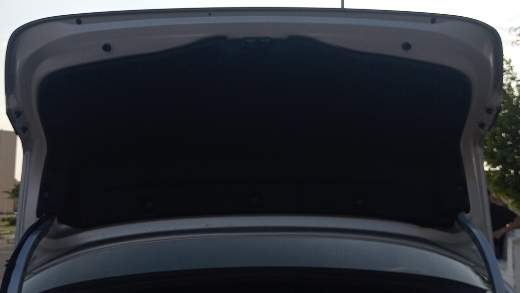 TRUNK HOOD