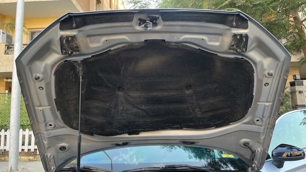 CAR HOOD