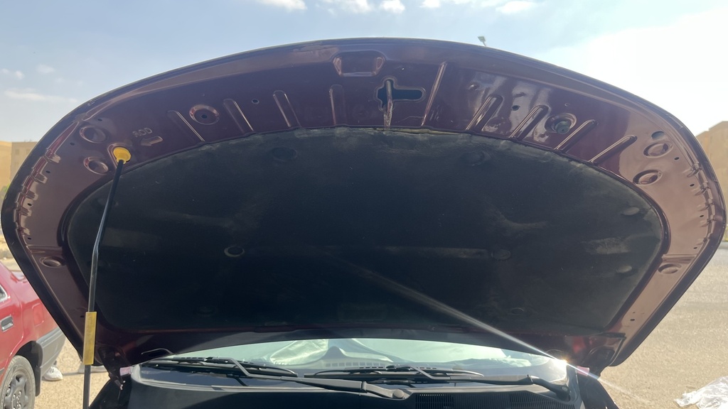 CAR HOOD