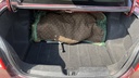 TRUNK