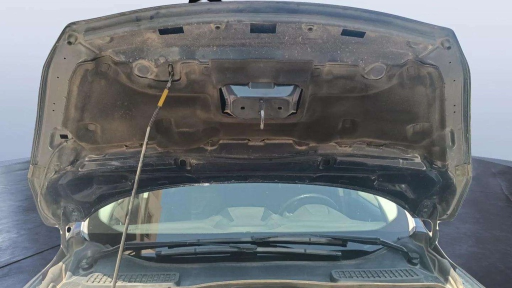 CAR HOOD