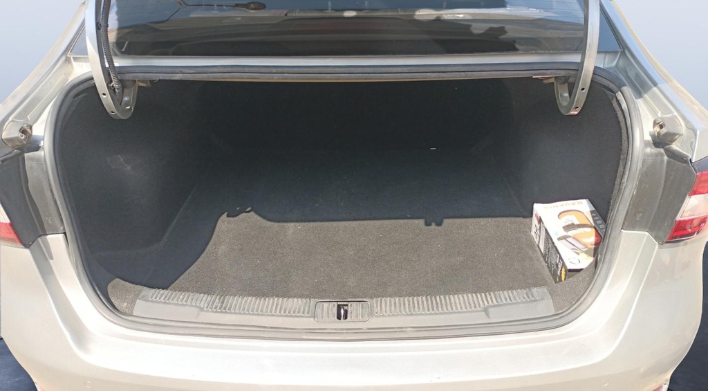 TRUNK