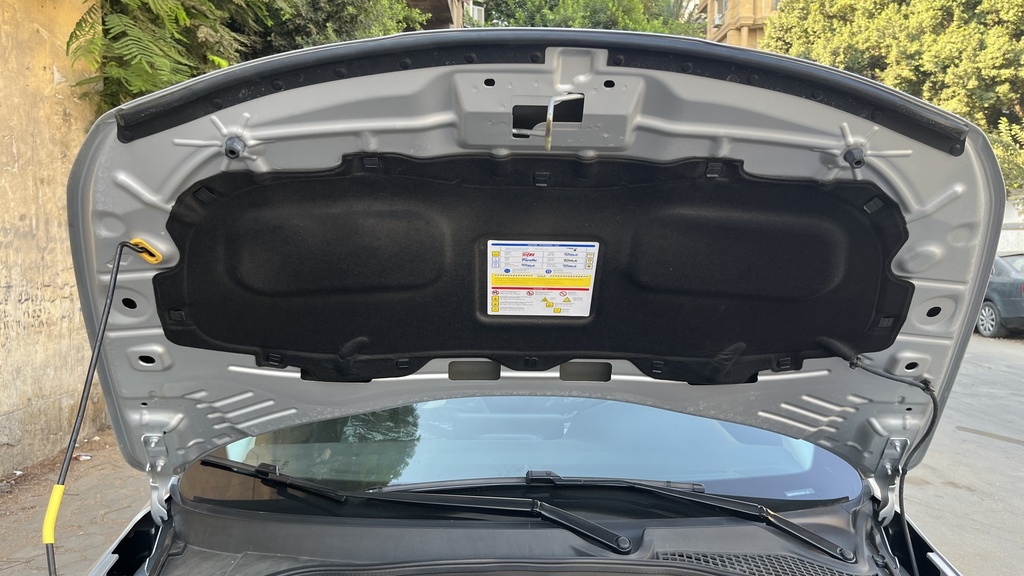 CAR HOOD
