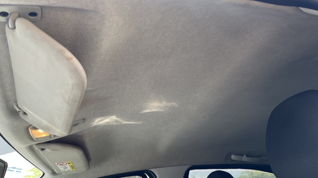 CAR ROOF MAT