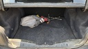 TRUNK