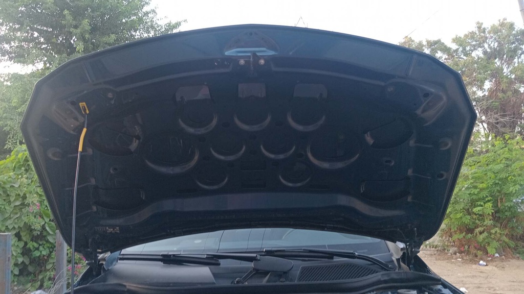 CAR HOOD