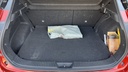 TRUNK