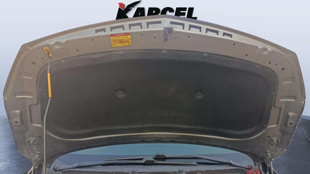 CAR HOOD