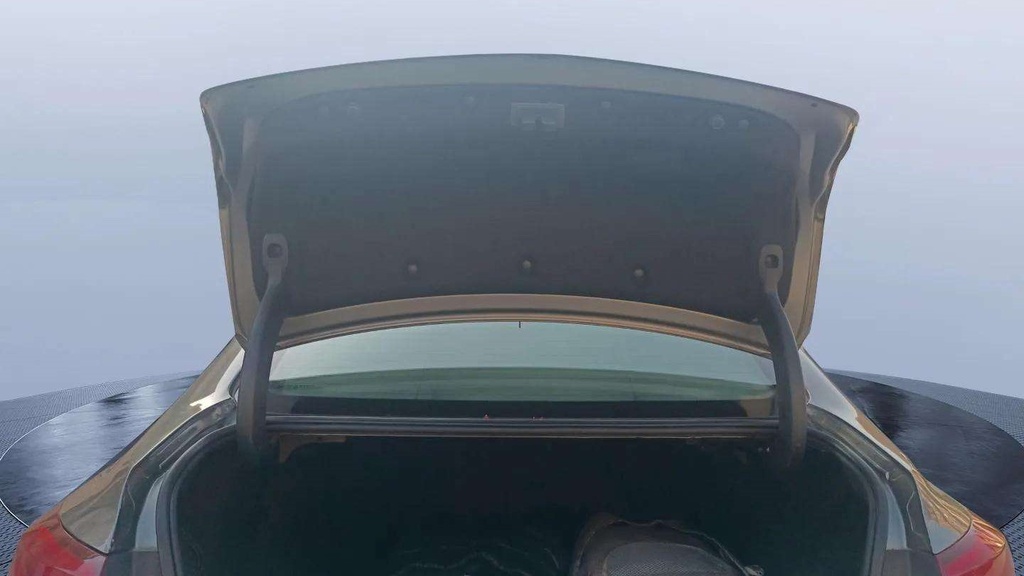 TRUNK HOOD
