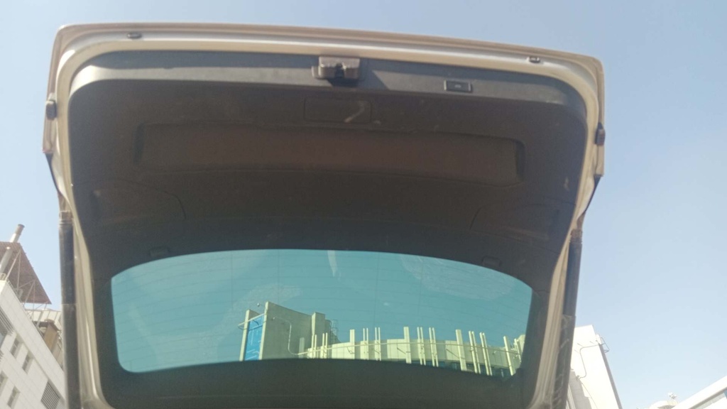 TRUNK HOOD