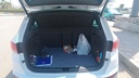 TRUNK