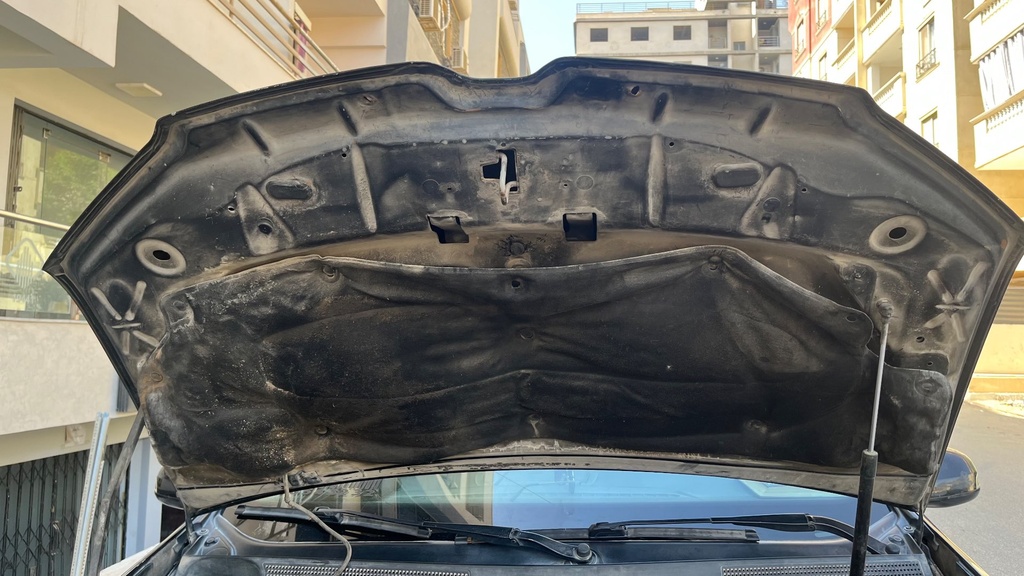 CAR HOOD