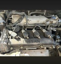 image (20).png