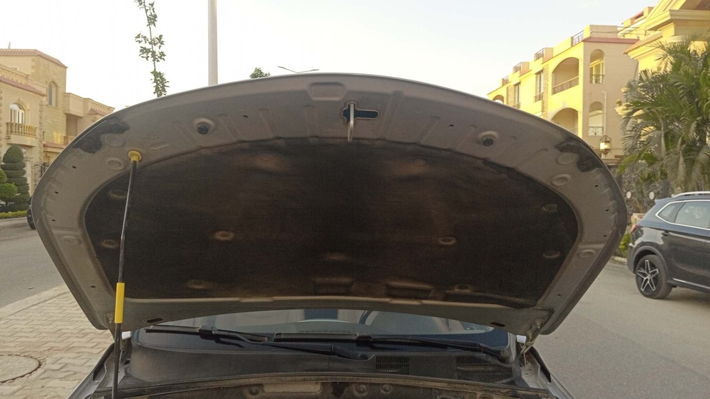 CAR HOOD